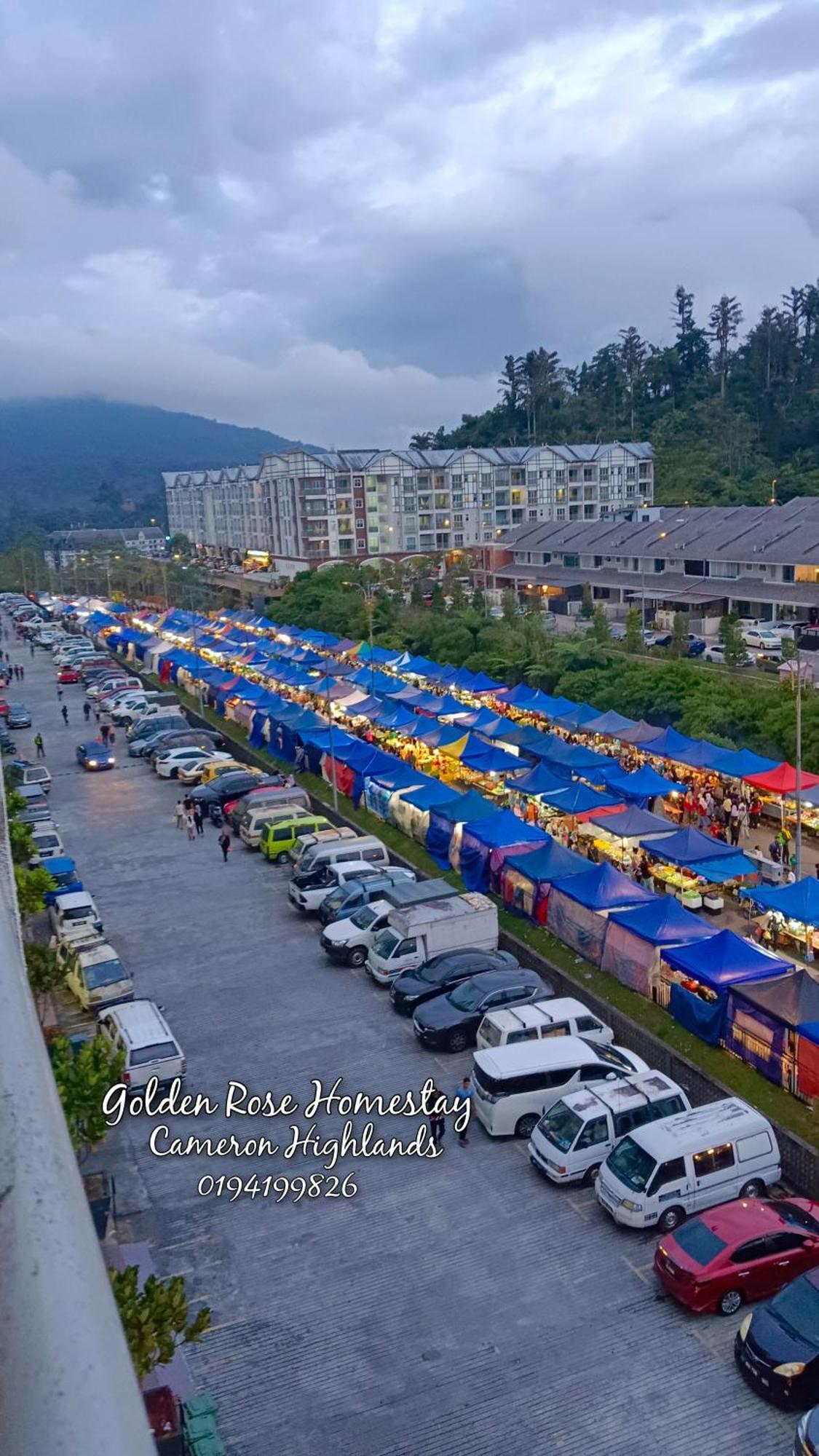 Golden Rose Homestay Cameron Highlands ブリンチャン エクステリア 写真